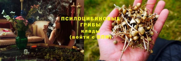 героин Бородино