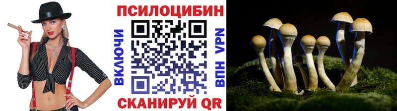 купить  сайты  kraken как зайти  Галлюциногенные грибы Cubensis  Чебоксары 
